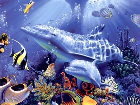 Les Dauphins