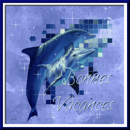Les Dauphins ma passion