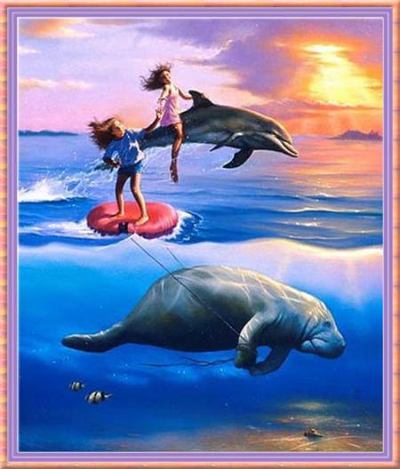 Les Dauphins