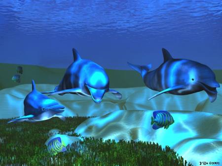 Les Dauphins